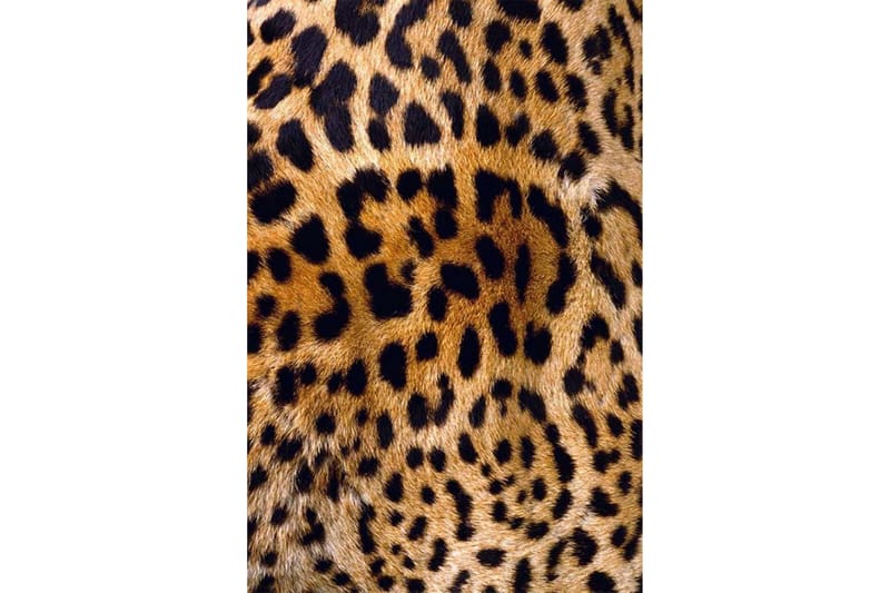 Homefesto Matta 80x300 cm - Multifärgad/Sammet - Textilier & mattor - Mattor - Orientaliska mattor - Persisk matta