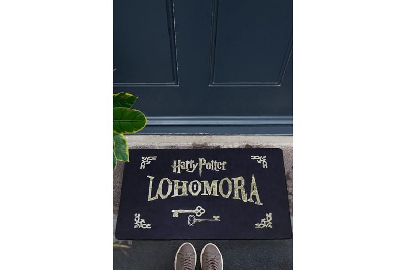 Chilai Dörrmatta 45x70 cm - PVC/Multifärgad - Textilier & mattor - Mattor - Utomhusmattor - Dörrmattor & entrémattor