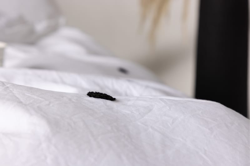 Loke Bedset - Vit - Textilier & mattor - Sängkläder - Bäddset & påslakanset
