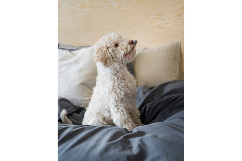 Påslakanset Dubbelsäng 3-Dels Percale - Blå - Textilier & mattor - Sängkläder - Bäddset & påslakanset - Bäddset dubbelsäng