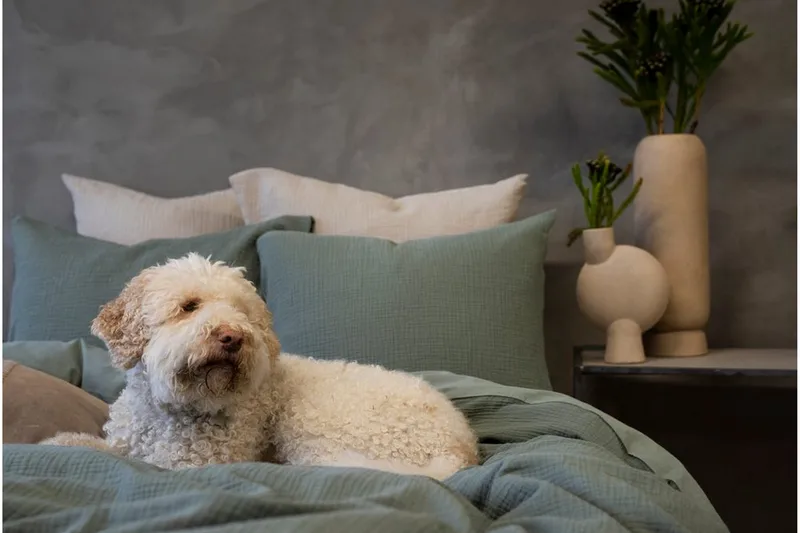 Påslakanset Dubbelsäng 3-Dels Rolling - Grön - Textilier & mattor - Sängkläder - Bäddset & påslakanset