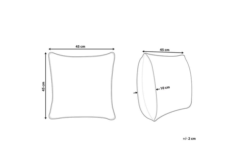 Prydnadskuddar Goldenrod set om 2 Vitt/guld - Vitt/guld - Textilier & mattor - Sängkläder - Sovkudde - Huvudkudde & Innerkudde