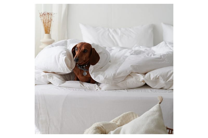 Täcke Hotelltäcke 150 x 200 cm - Standard - Textilier & mattor - Sängkläder - Täcke