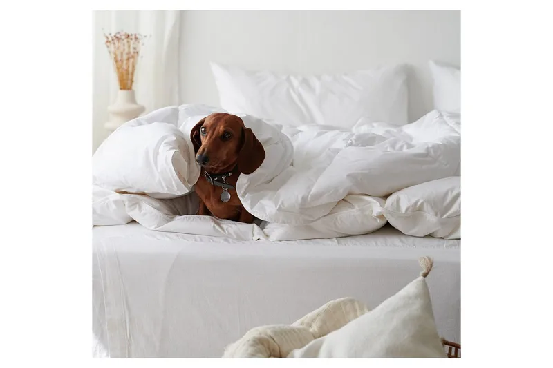 Täcke Hotelltäcke 150 x 200 cm - Standard - Textilier & mattor - Sängkläder - Täcke