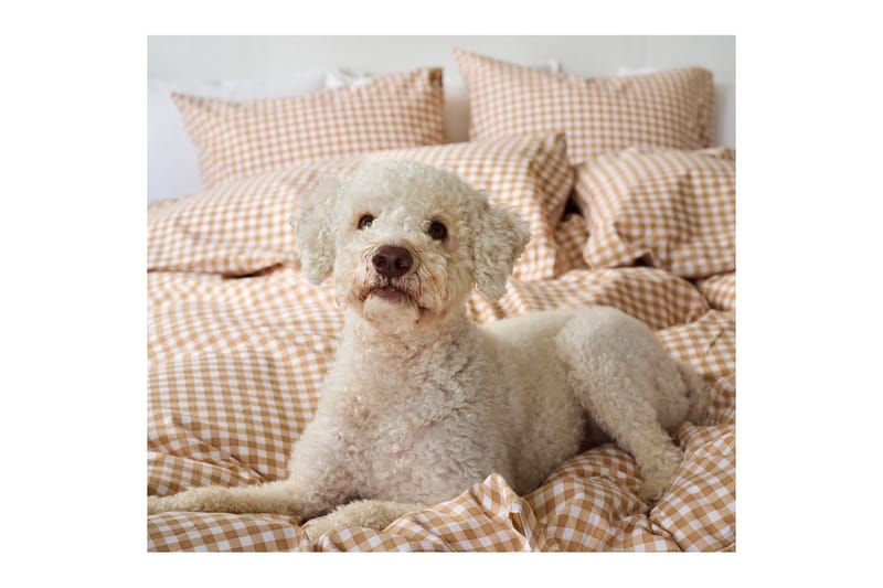 Påslakanset Enkelsäng 2-Dels Märta Ruta - Gul - Textilier & mattor - Sängkläder - Täcke