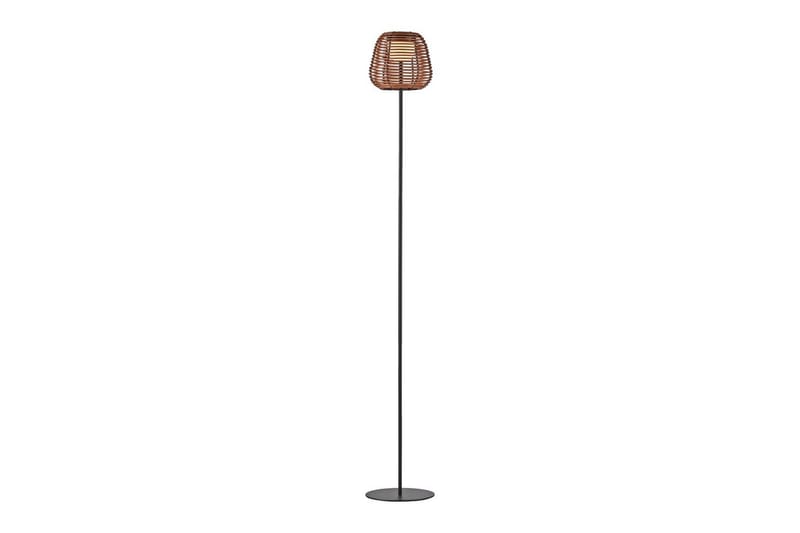 Askia Just Light Golvlampa, Black