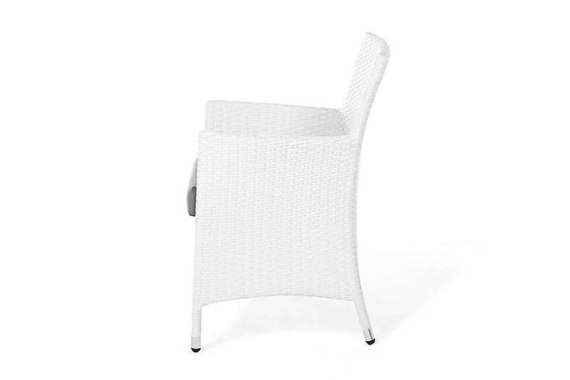 Galar Trädgårdsstol 2-pack - Vit - Utemöbler - Balkong - Balkongmöbler - Balkongstolar