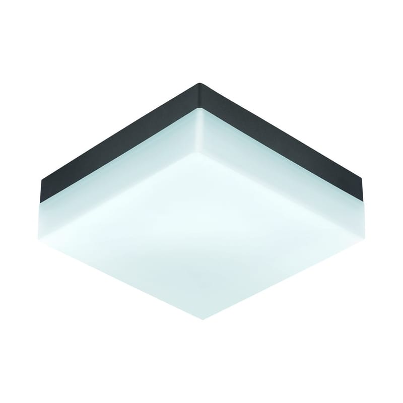 Utvändig vägg-/taklampa Sonella, Antracit