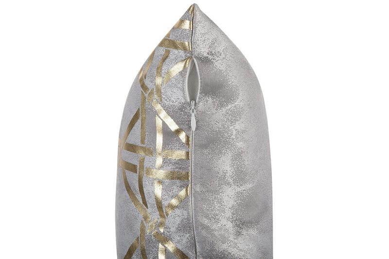 Prydnadskuddar Cassia set om 2 Grå/guld - Grå/guld - Textilier & mattor - Kuddar & plädar - Prydnadskuddar & kuddfodral