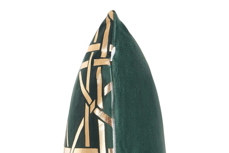 Prydnadskuddar Cassia set om 2 Grön/guld - Grön/guld - Textilier & mattor - Kuddar & plädar - Prydnadskuddar & kuddfodral