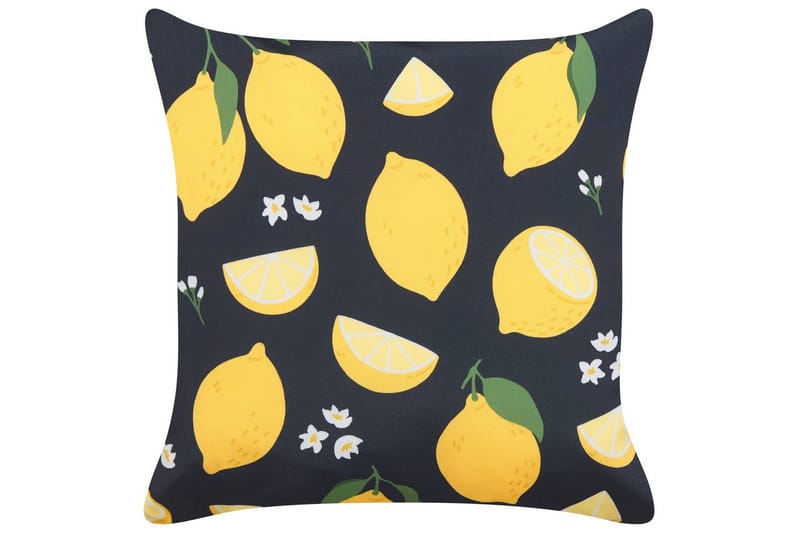 Prydnadskuddar Citrus set om 2 - Textilier & mattor - Kuddar & plädar - Utomhuskudde