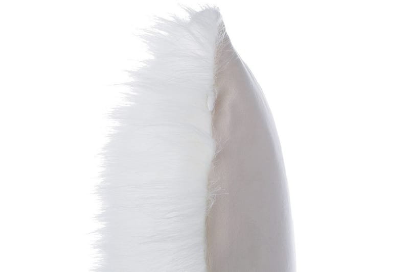 Prydnadskuddar Daisy set om 2 Beige - Beige - Textilier & mattor - Kuddar & plädar - Prydnadskuddar & kuddfodral