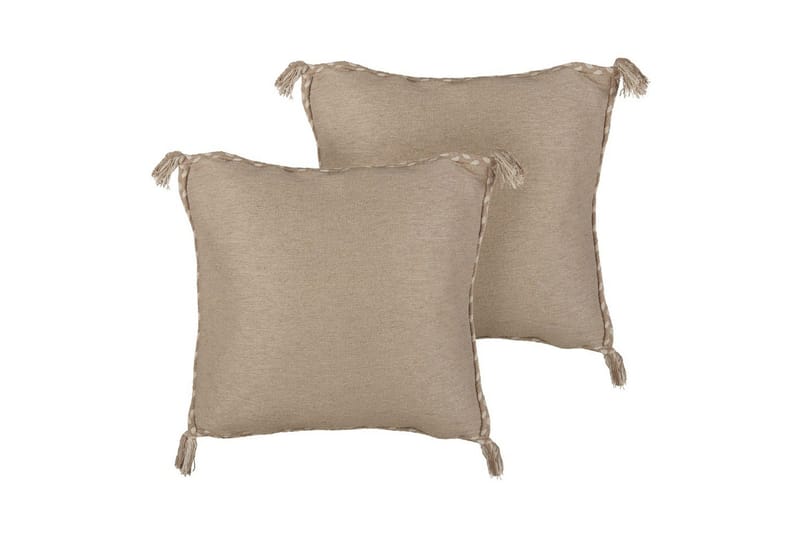 Prydnadskuddar Erigeron set om 2