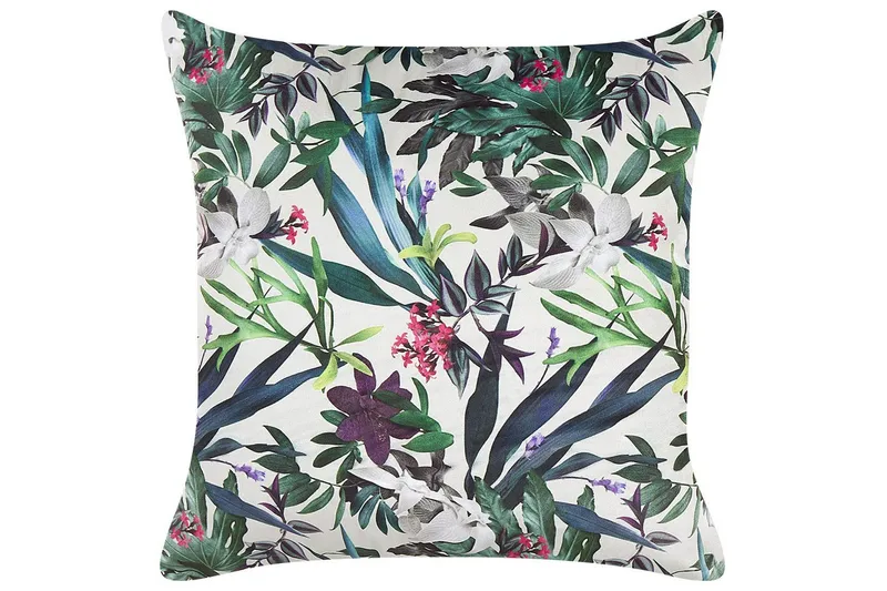 Prydnadskuddar Gasteria