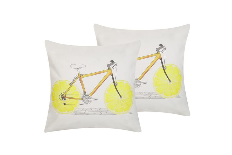 Prydnadskuddar Ruscus set om 2