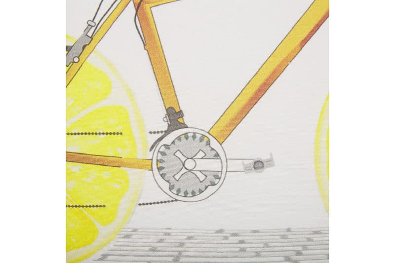 Prydnadskuddar Ruscus set om 2 - Textilier & mattor - Kuddar & plädar - Utomhuskudde