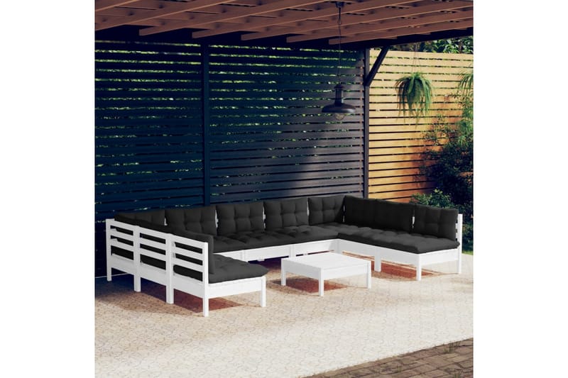 Loungegrupp Utomhus med dynor 10 delar vit massiv furu - Vit/svart - Utemöbler - Utegrupp - Loungegrupp