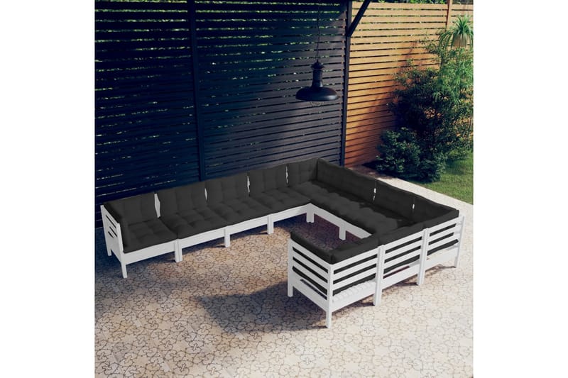Loungegrupp Utomhus med dynor 10 delar vit massiv furu - Vit/svart - Utemöbler - Utegrupp - Loungegrupp