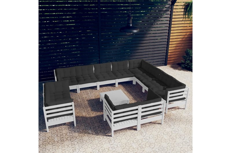 Loungegrupp Utomhus med dynor 13 delar vit massiv furu - Vit/svart - Utemöbler - Utegrupp - Loungegrupp