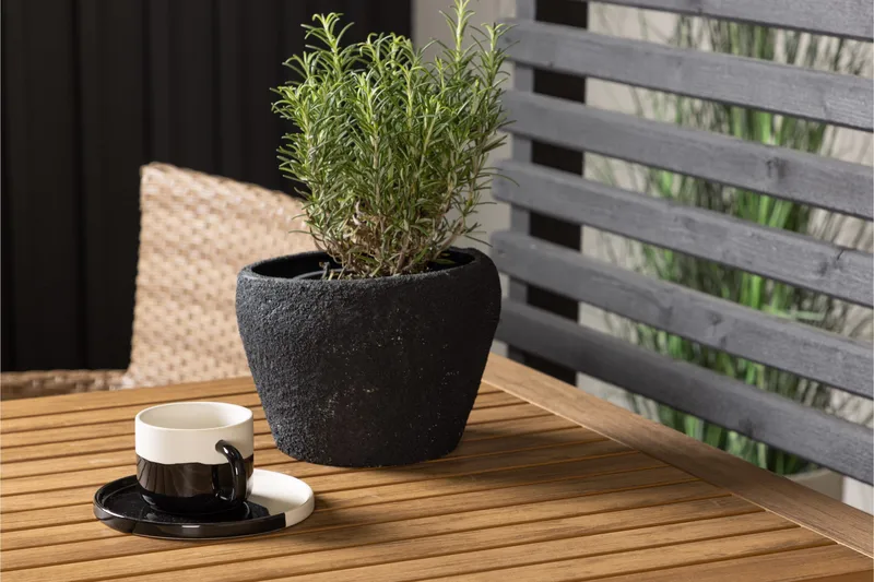 Diego Matgrupp 70 cm + 2 st Malina Karmstolar Brun - Brun - Utemöbler - Utegrupp - Matgrupper utomhus