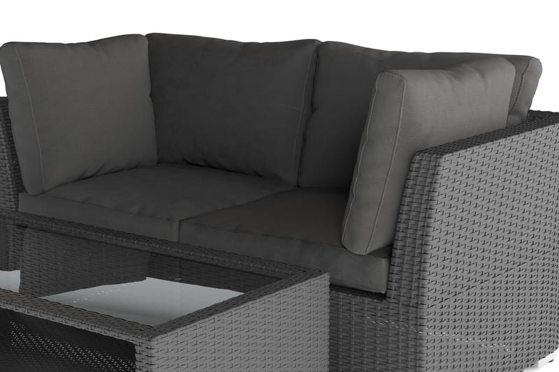 Wisconsin Premium Loungegrupp Utomhus med Armstöd 2-sits Konstrotting - Svart - Utemöbler - Utegrupp - Loungegrupp