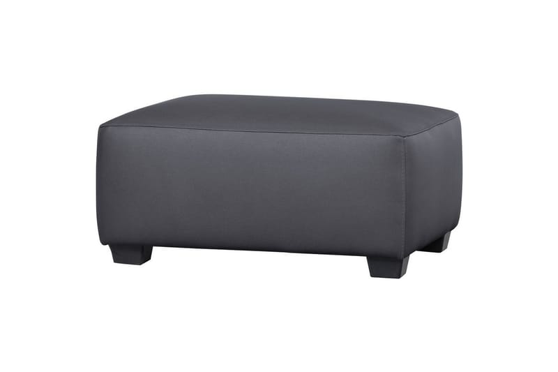 Trädgårdshocker Hollandia, Grå