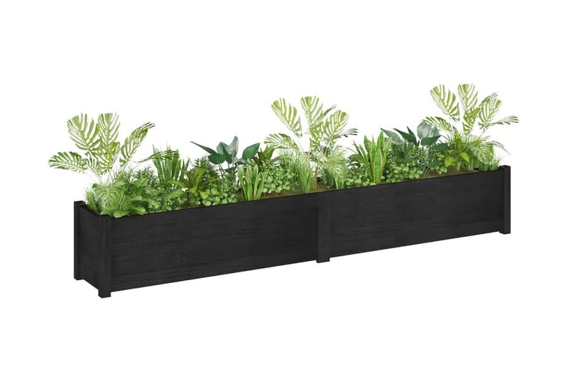 Odlingslåda 200x31x31 cm massiv furu - Blomlåda - Övriga trädgårdstillbehör