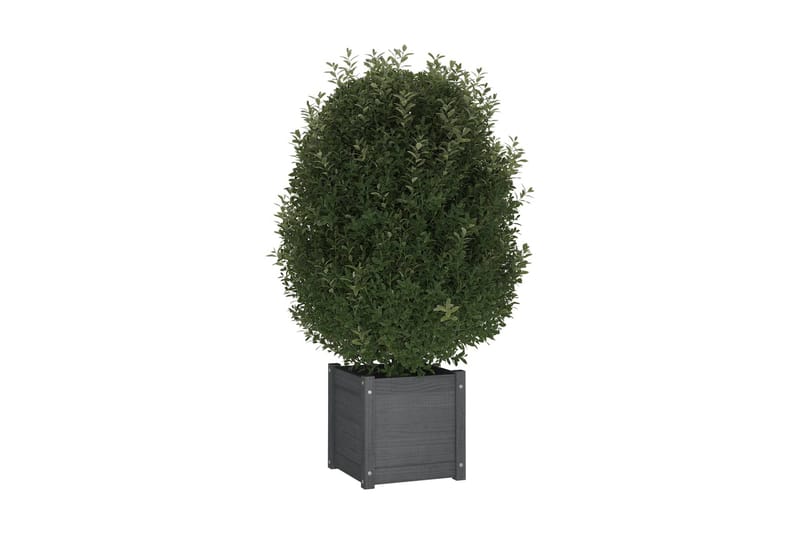 Odlingslåda grå 40x40x40 cm massiv furu - Blomlåda - Övriga trädgårdstillbehör