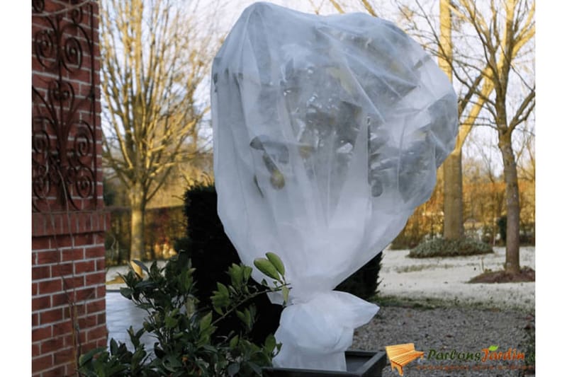 Nature Frostskydd för växter fleece 30 g/m² vit 2x5 m - Vit - Utemöbler - Övrigt utemöbler - Tillbehör - Övriga trädgårdstillbehör