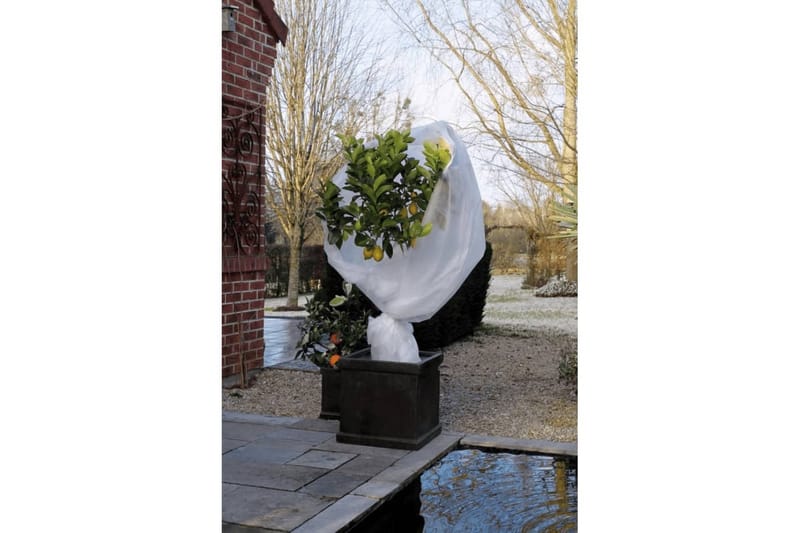 Nature Frostskydd för växter fleece 30 g/m² vit 2x5 m - Vit - Utemöbler - Övrigt utemöbler - Tillbehör - Övriga trädgårdstillbehör
