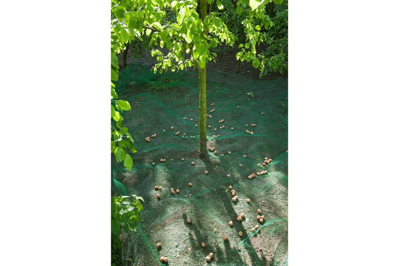 Nature Frukt- och lövnät 4,3x4,3 m 6030451 - Utemöbler - Övrigt utemöbler - Tillbehör - Övriga trädgårdstillbehör