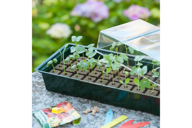 Nature Miniväxthus kit 4x16 celler - Övriga trädgårdstillbehör