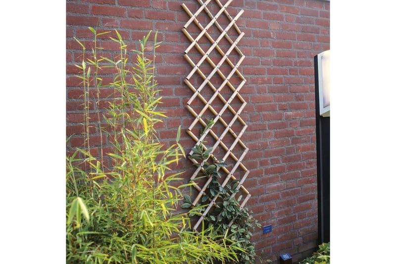 Nature Spaljé trädgård 70x180 cm bambu 6040721 - Brun - Utemöbler - Övrigt utemöbler - Tillbehör - Övriga trädgårdstillbehör