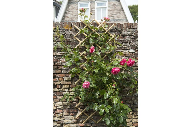 Nature Spaljé trädgård 70x180 cm bambu 6040721 - Brun - Utemöbler - Övrigt utemöbler - Tillbehör - Övriga trädgårdstillbehör