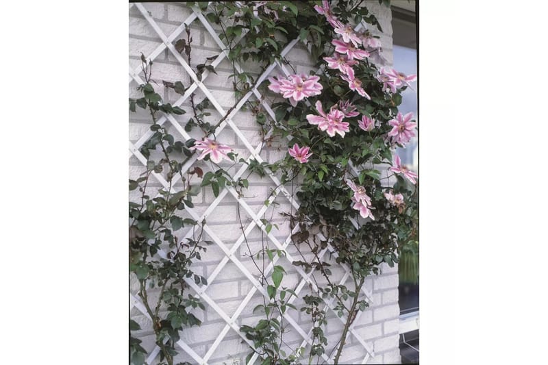Nature Trädgårdsspaljé 100x200 cm PVC vit 6040703 - Vit - Utemöbler - Övrigt utemöbler - Tillbehör - Övriga trädgårdstillbehör