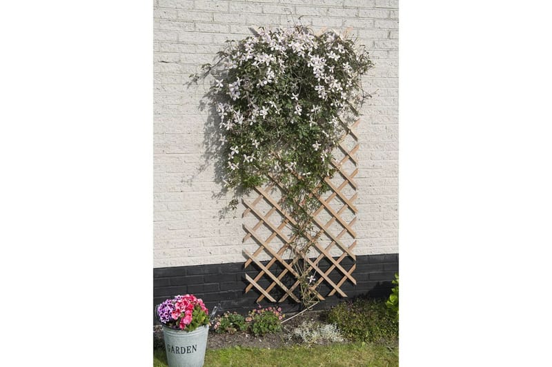 Nature Trädgårdsspaljé 50x150 cm trä naturlig - Brun - Utemöbler - Övrigt utemöbler - Tillbehör - Övriga trädgårdstillbehör