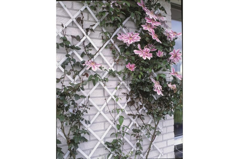 Nature Trädgårdsspaljé 50x150 cm PVC vit 6040701 - Vit - Utemöbler - Övrigt utemöbler - Tillbehör - Övriga trädgårdstillbehör