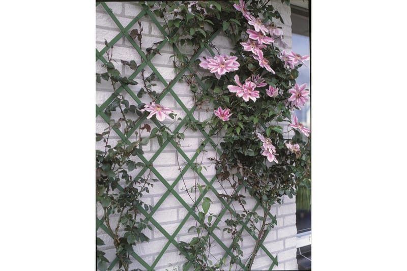 Nature Trädgårdsspaljé 50x150 cm PVC grön 6040702 - Grön - Utemöbler - Övrigt utemöbler - Tillbehör - Övriga trädgårdstillbehör