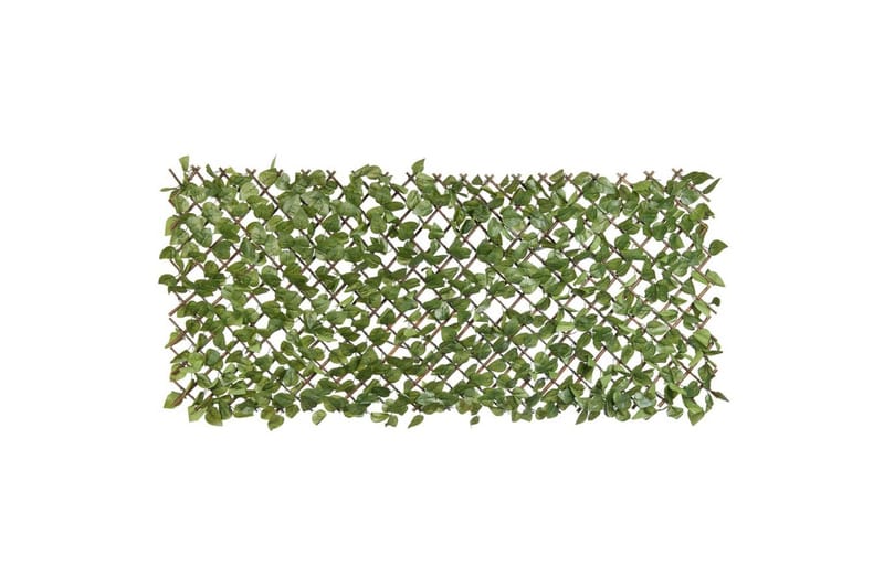 Nature Trädgårdsspaljé med lagerblad 90x180 cm grön - Flerfärgsdesign - Övriga trädgårdstillbehör