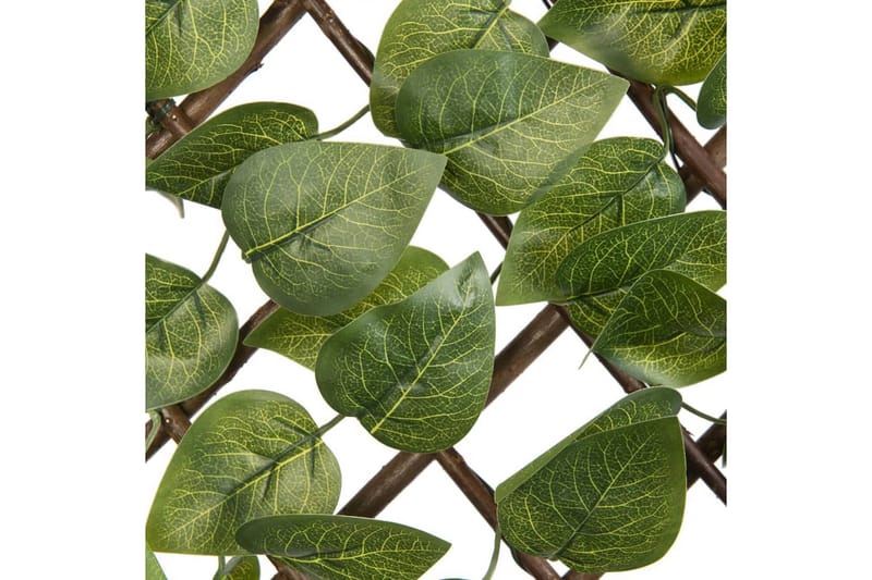 Nature Trädgårdsspaljé med lagerblad 90x180 cm grön - Flerfärgsdesign - Utemöbler - Övrigt utemöbler - Tillbehör - Övriga trädgårdstillbehör