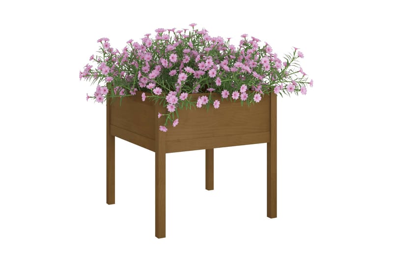 Odlingslåda 2 st honungsbrun 70x70x70 cm massiv furu - Honung - Utemöbler - Övrigt utemöbler - Tillbehör - Övriga trädgårdstillbehör