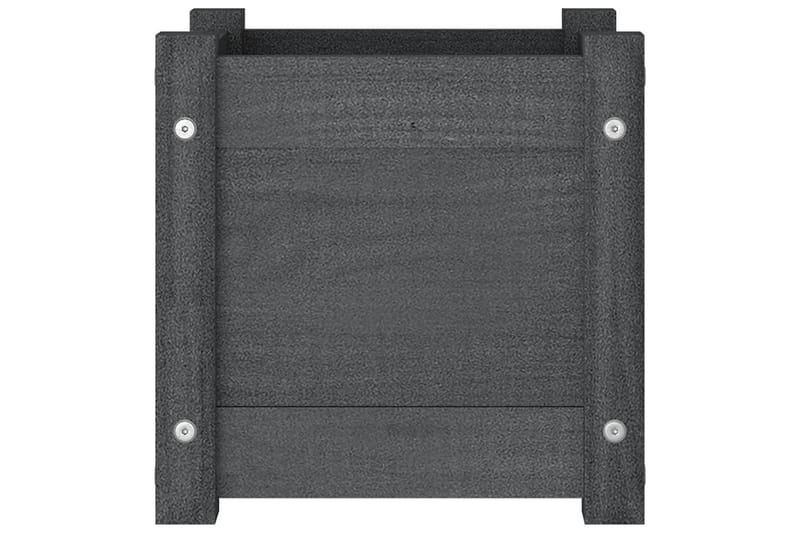 Odlingslåda grå 31x31x31 cm massiv furu - Grå - Utemöbler - Övrigt utemöbler - Tillbehör - Övriga trädgårdstillbehör