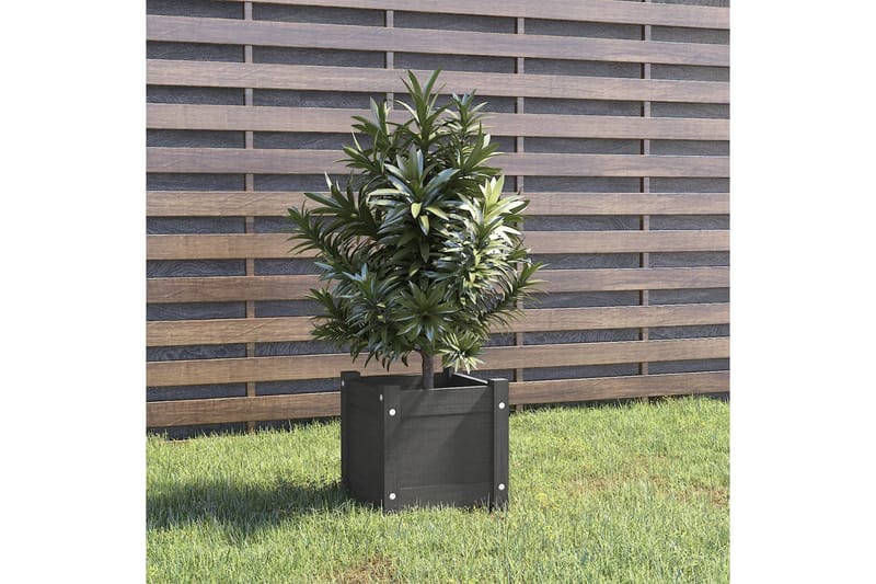 Odlingslåda grå 31x31x31 cm massiv furu - Grå - Utemöbler - Övrigt utemöbler - Tillbehör - Övriga trädgårdstillbehör