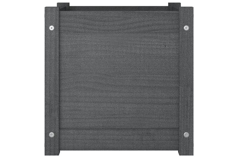 Odlingslåda grå 40x40x40 cm massiv furu - Grå - Utemöbler - Övrigt utemöbler - Tillbehör - Övriga trädgårdstillbehör