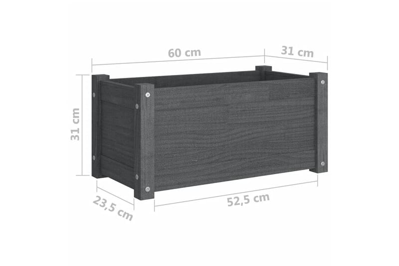 Odlingslåda grå 60x31x31 cm massiv furu - Grå - Utemöbler - Övrigt utemöbler - Tillbehör - Övriga trädgårdstillbehör