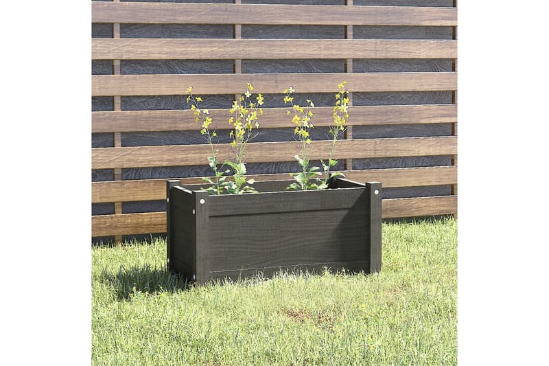 Odlingslåda grå 60x31x31 cm massiv furu - Grå - Utemöbler - Övrigt utemöbler - Tillbehör - Övriga trädgårdstillbehör