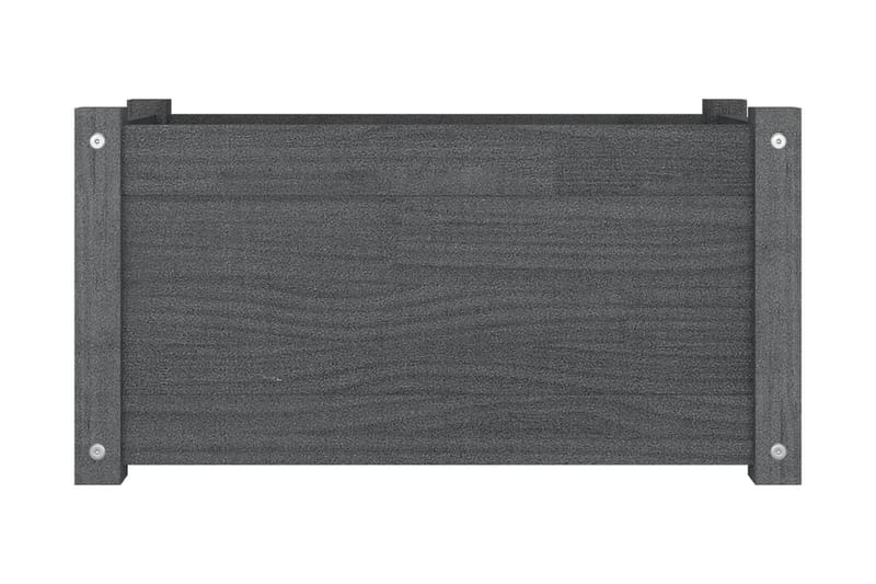 Odlingslåda grå 60x31x31 cm massiv furu - Grå - Utemöbler - Övrigt utemöbler - Tillbehör - Övriga trädgårdstillbehör