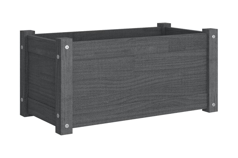 Odlingslåda grå 60x31x31 cm massiv furu - Grå - Utemöbler - Övrigt utemöbler - Tillbehör - Övriga trädgårdstillbehör