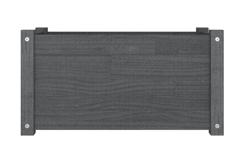 Odlingslåda grå 60x31x31 cm massiv furu - Grå - Utemöbler - Övrigt utemöbler - Tillbehör - Övriga trädgårdstillbehör