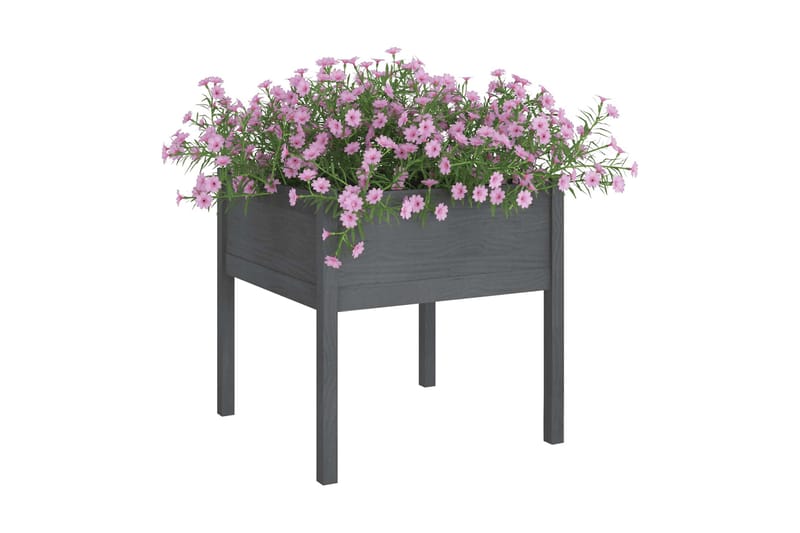 Odlingslåda grå 70x70x70 cm massiv furu - Grå - Utemöbler - Övrigt utemöbler - Tillbehör - Övriga trädgårdstillbehör